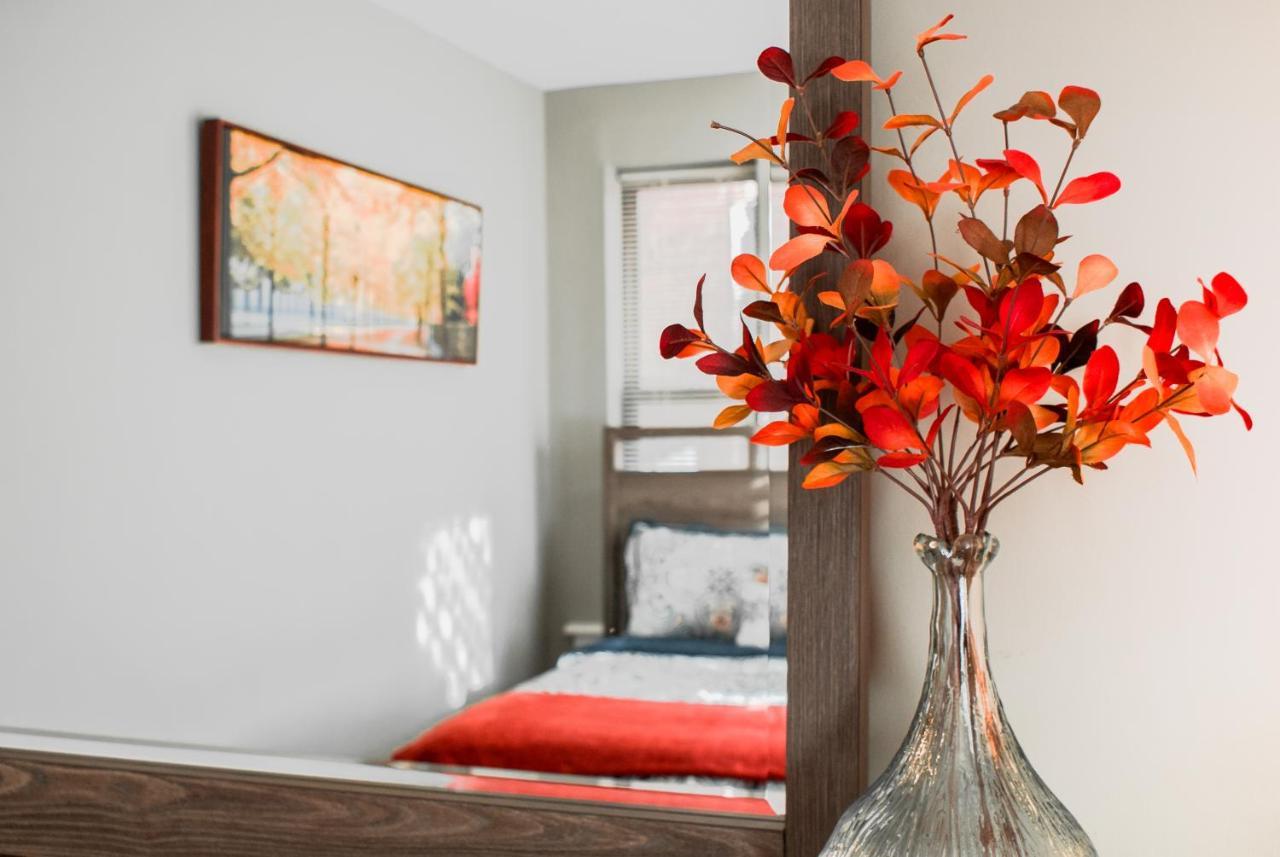 Lovely 2Br Apartment By Wooster Square- Great Neighborhood นิวเฮฟเวน ภายนอก รูปภาพ